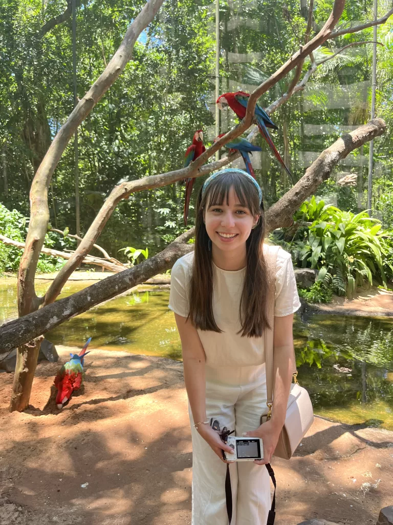 Macaws at Parque das Aves in Foz do Iguaçu