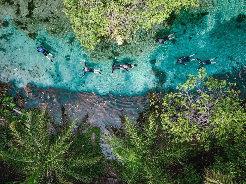 Top view of snorkelers in a crystal clear river in Bonito, surrounded bu very lush tropical plants
