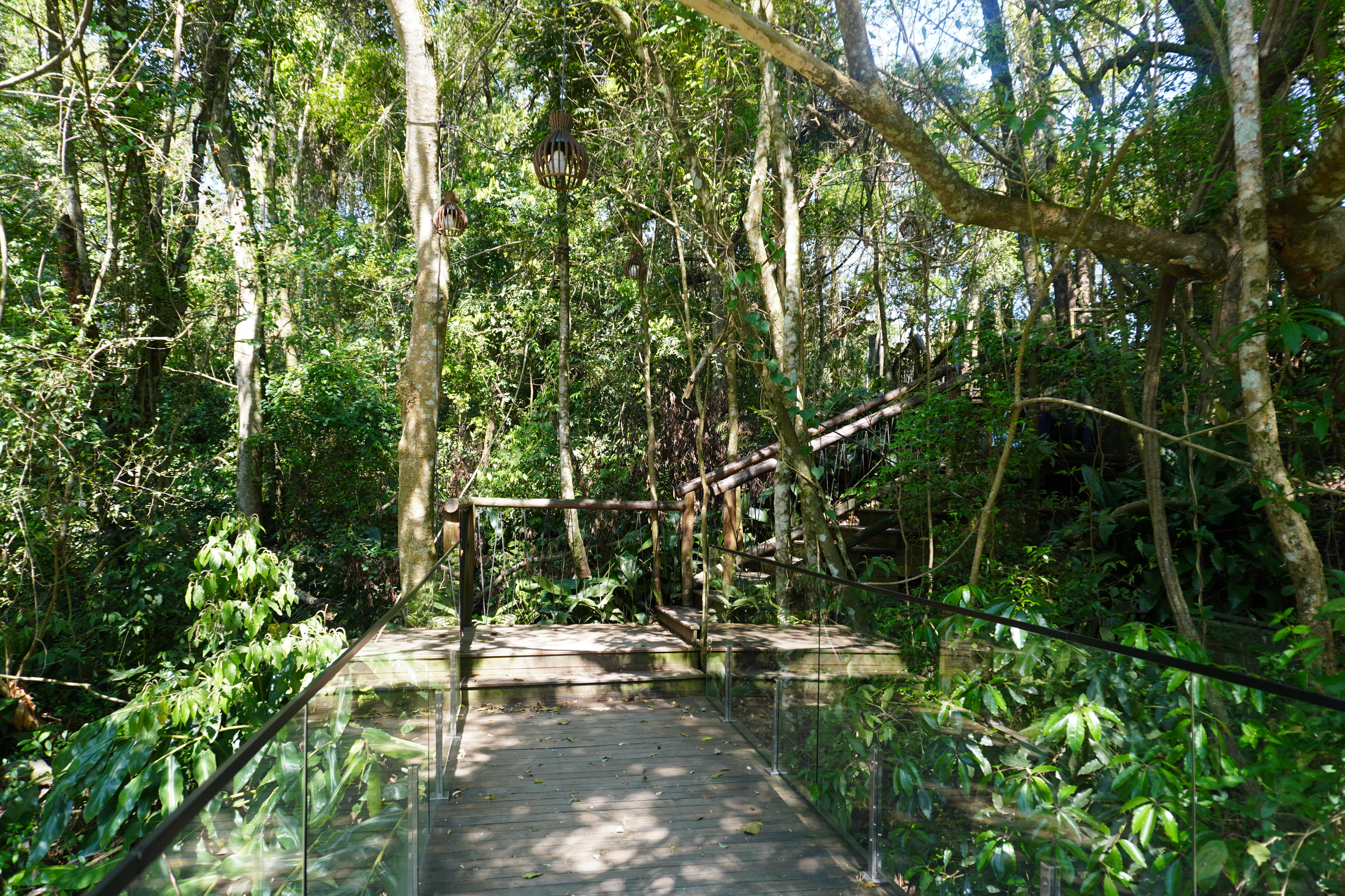 Wooden path with glass rails in the middle of a mini-forest at Opera de Arame