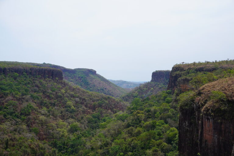 Chapada dos Guimarães Travel Guide: how to go & things to do