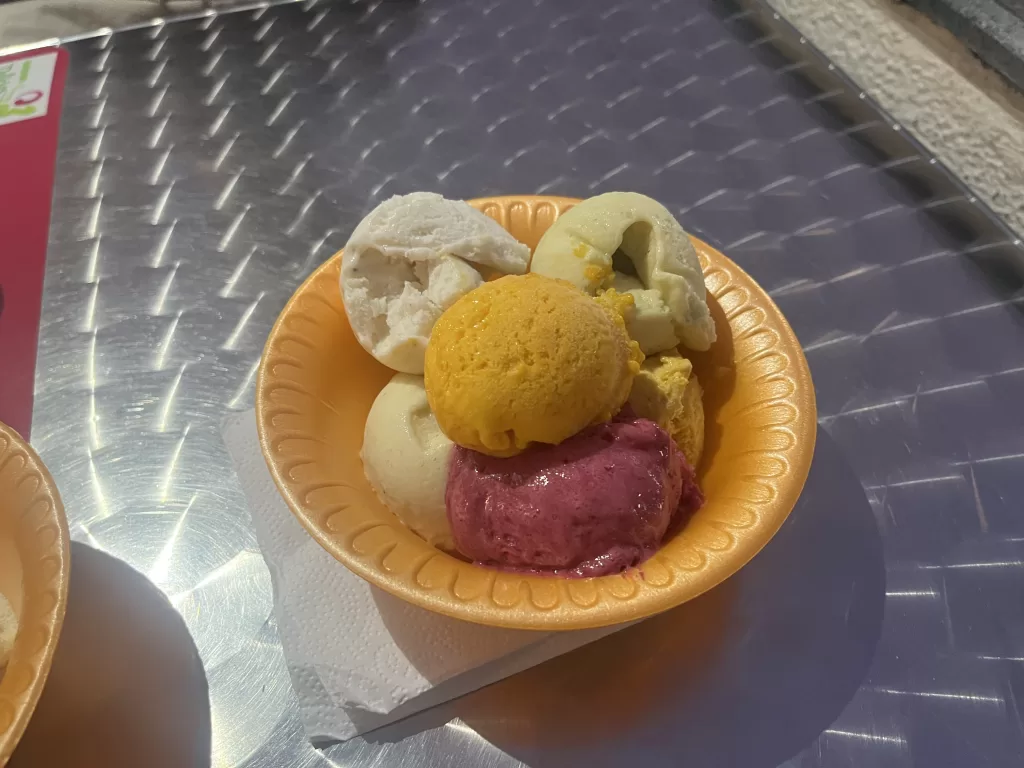 Bowl of ice cream with scoops of different flavors. Each flavor is of a fruit naturally found in the Brazilian Savannah (cerrado)