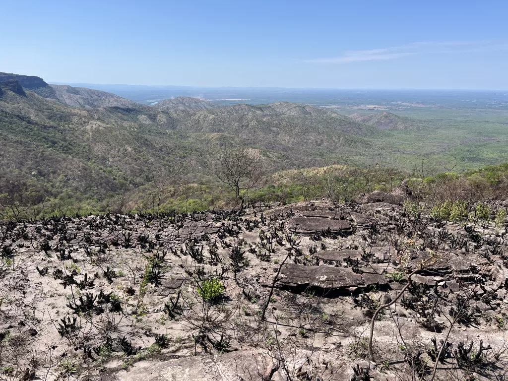 Cerrado plants completely burned and a stunning view of the Chapada dos Guimarães landscape