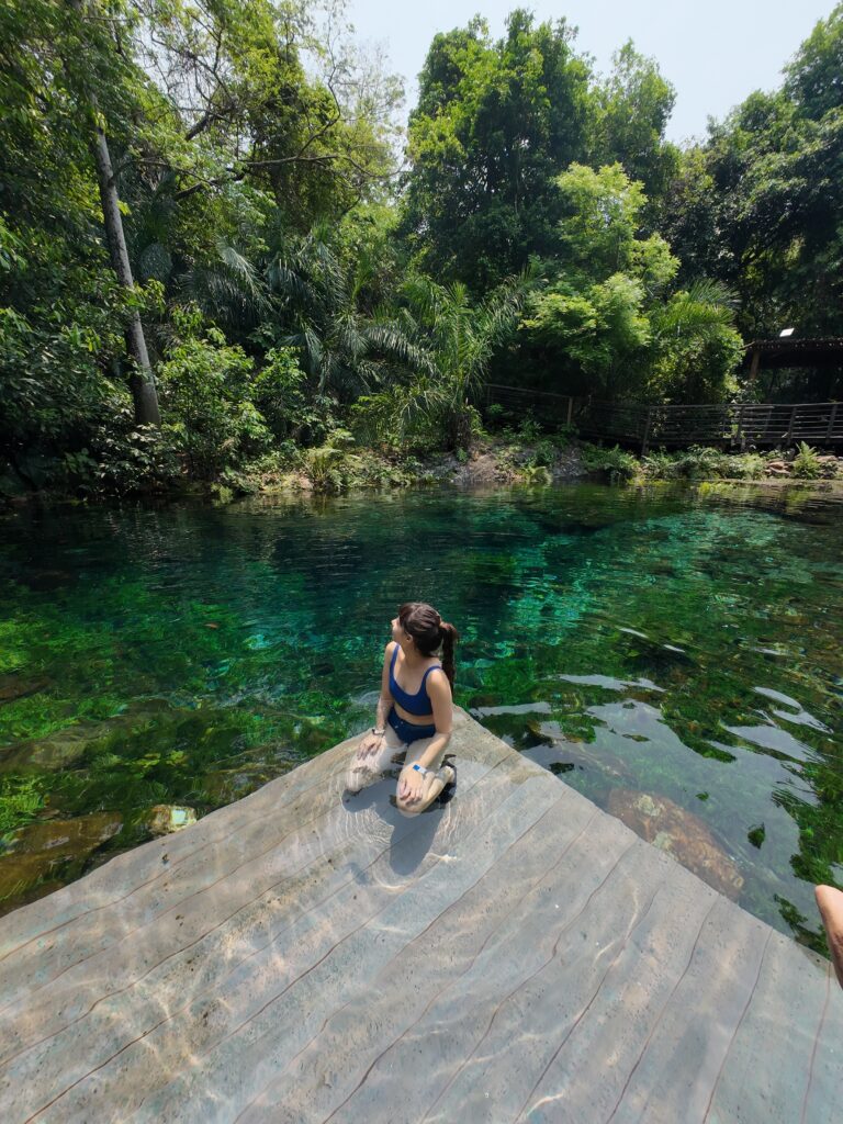 crystal clear water in Bonito, Mato Grosso do Sul