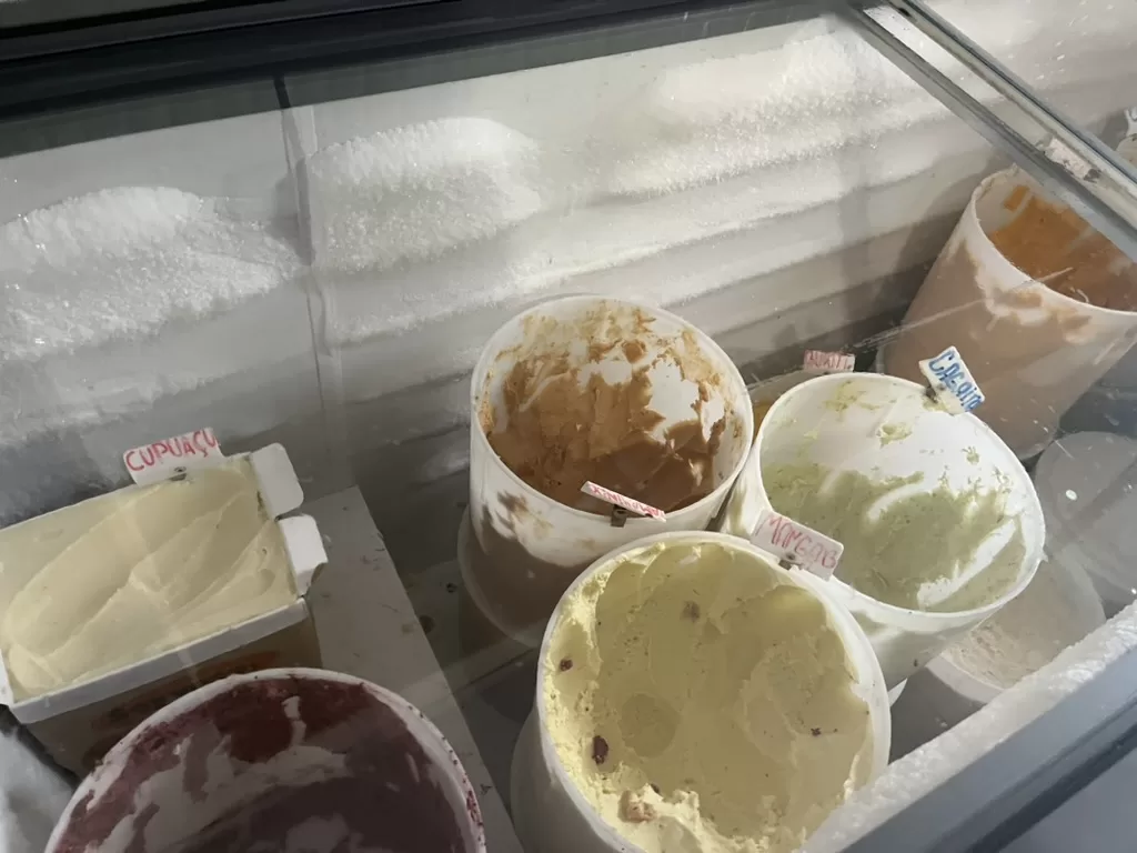 Icre cream fridge with large pots of ice cream. Flavors include: cupuaçu, mangaba, and buriti