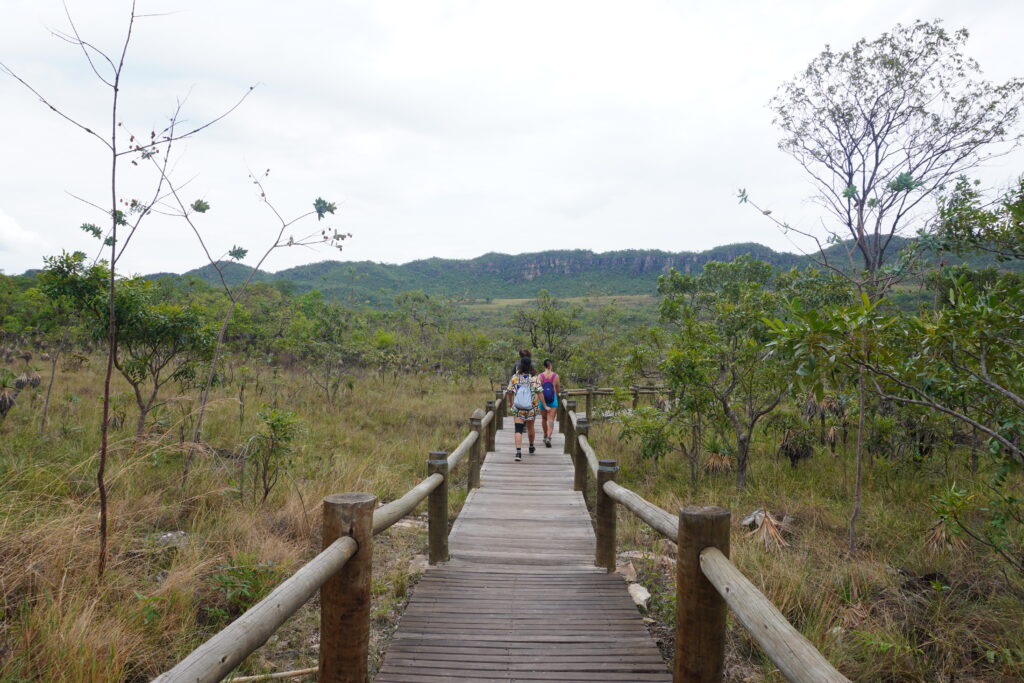 Girls hiking a wooden trail at Chapada dos Veadeiros National Park