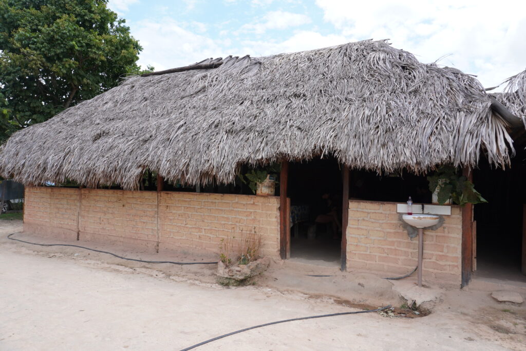 Brick structure with a roof made out of local folliage.