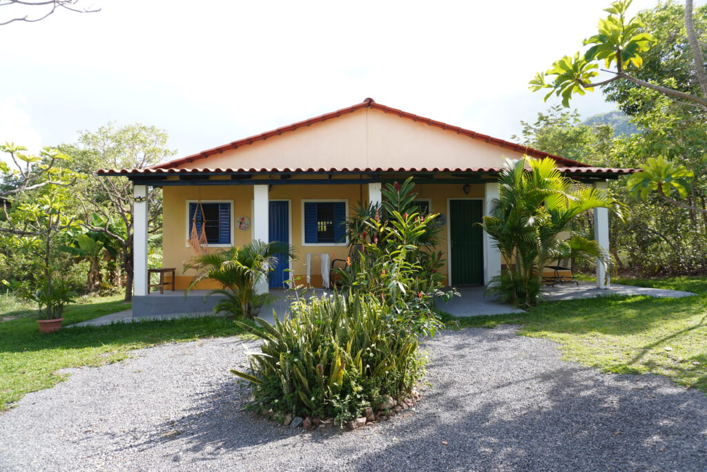 Yellow single-story house surrounded by plants.