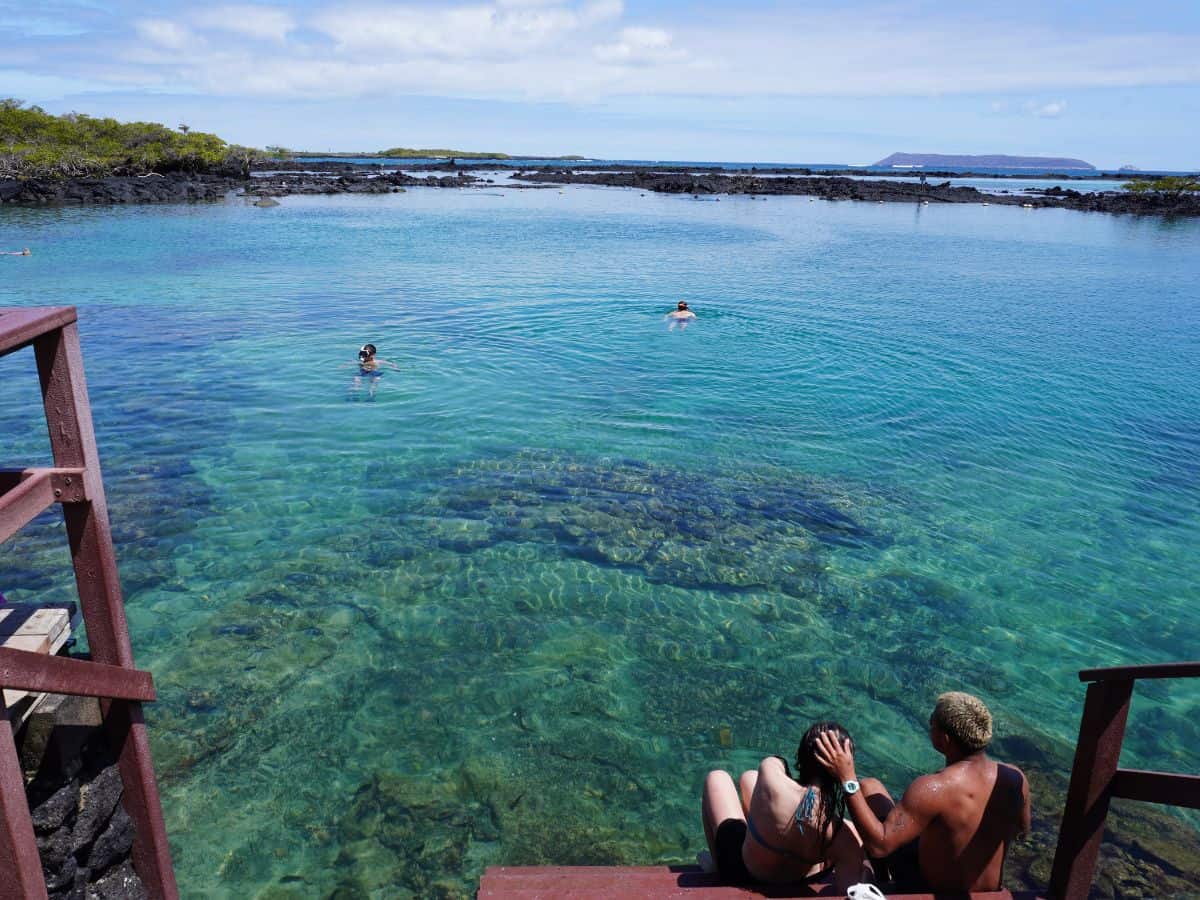View of the Concha de Perla snorkeling site from the wooden deck. The ocean is a beautiful torquoise shade and the mangroves surrounding the snorkeling site is visible. There are a vew snorkelers in the water.