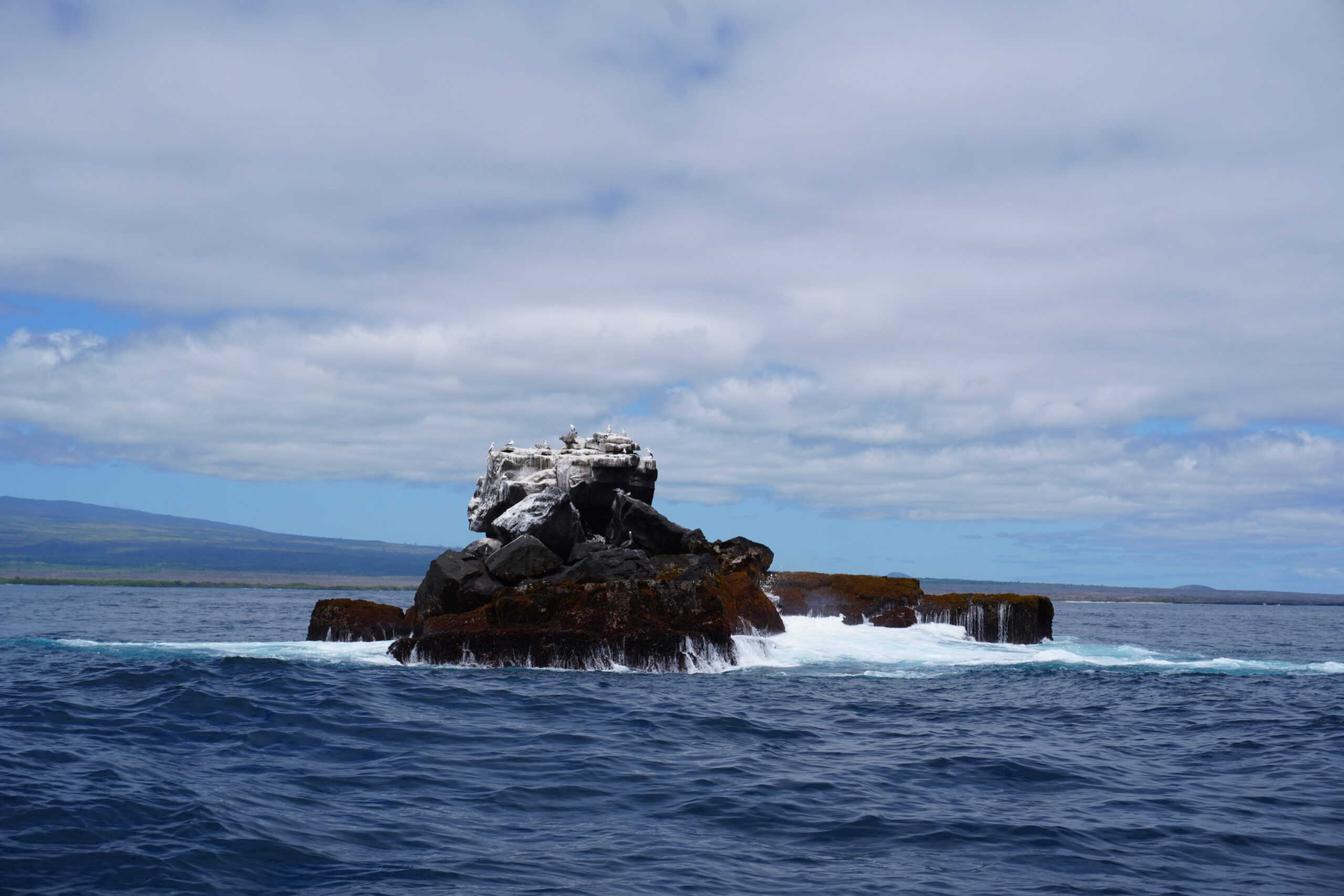 View of Roca Union, a relatively small rock in the middle like the ocean, which looks like a mini island. The top of the rock is covered in a white coat and small birds sit on it.