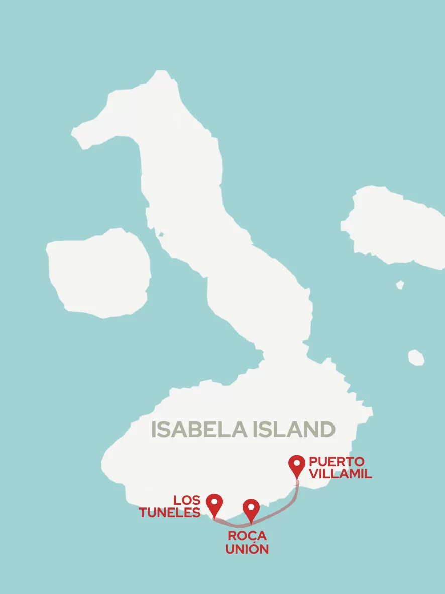Map of the Los Tuneles Tour in Isabela. It shows Isabela Island,which is shaped a bit like Italy, with three red pins in the south coast. From Left to Right, the pins read Los Tuneles, Roca Union, and Puerto Villamil.
