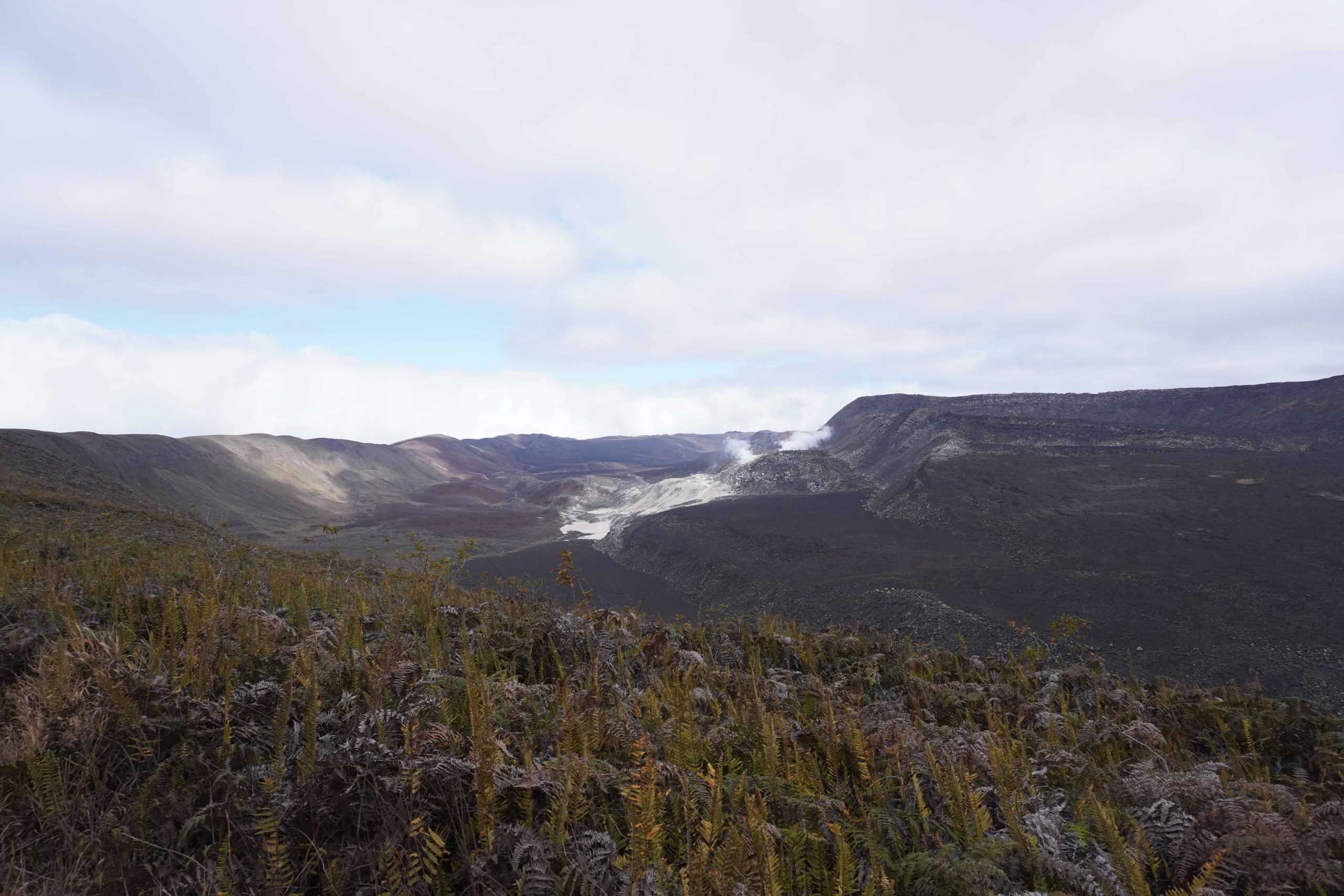 View of the crater of the Sierra Negra volcano in Isabela. There is a contrast of vegetation, completely dry volcanic rock, sulfur mines, and a colorful mountain.
