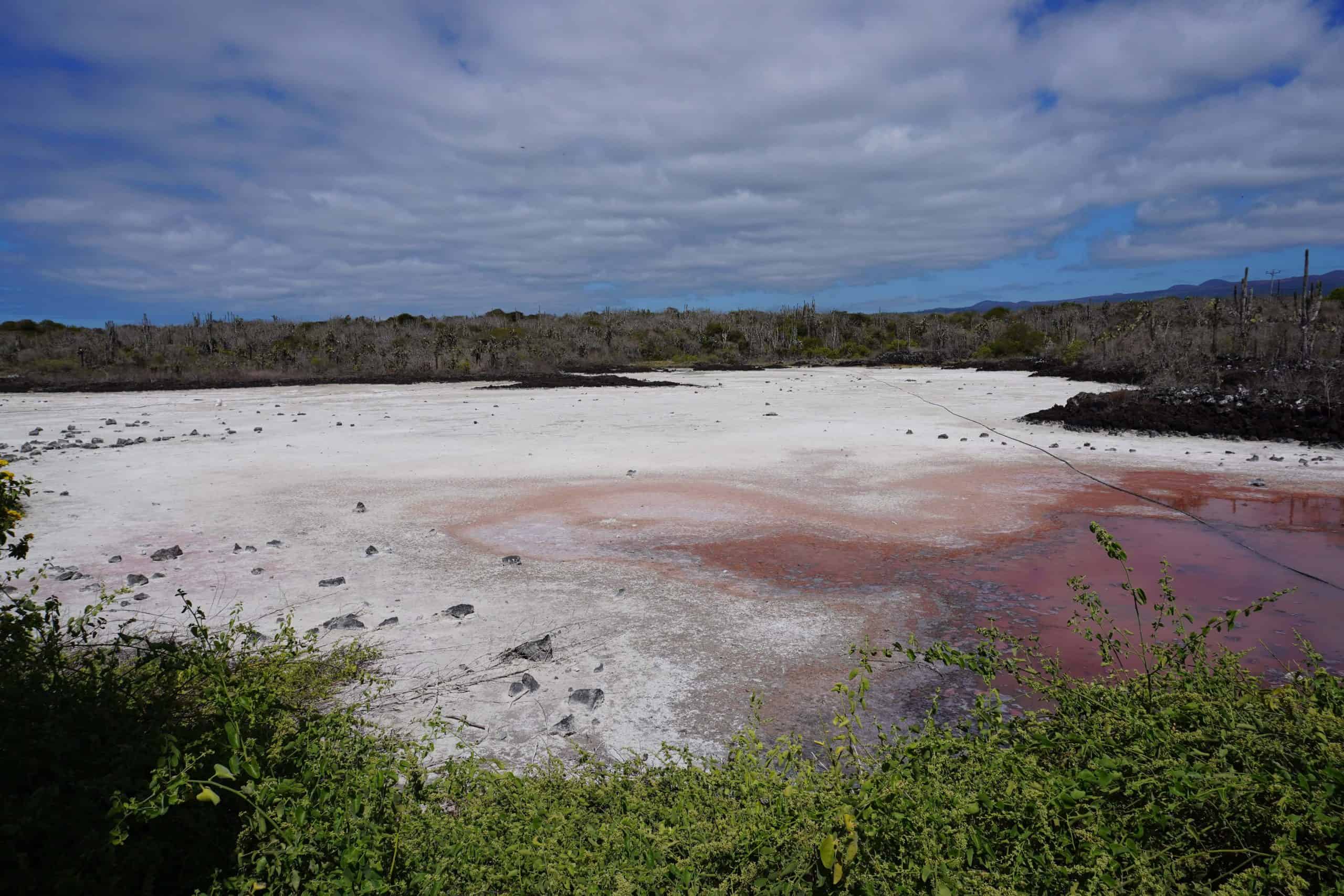 Salt lake in front of the entrance to the Las Grietas Trail. The left side of the lake is bright white, while the right side has a large pink lagoon.