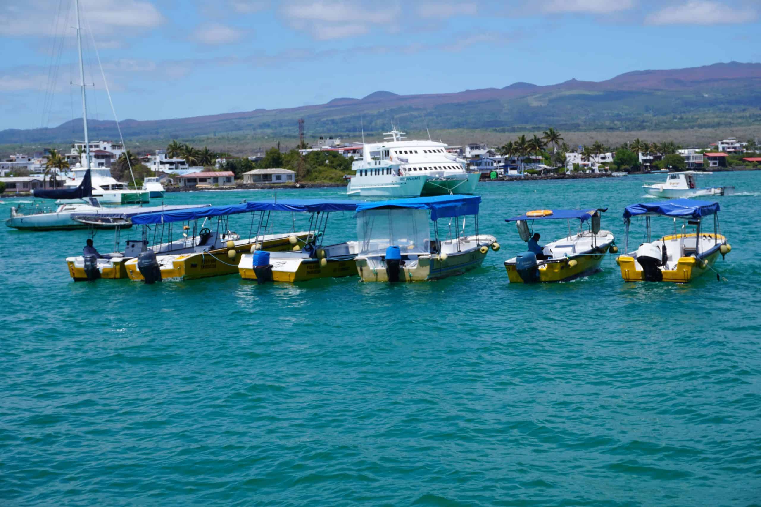 Six water taxis parked in the ocean in Santa Cruz, Galapagos