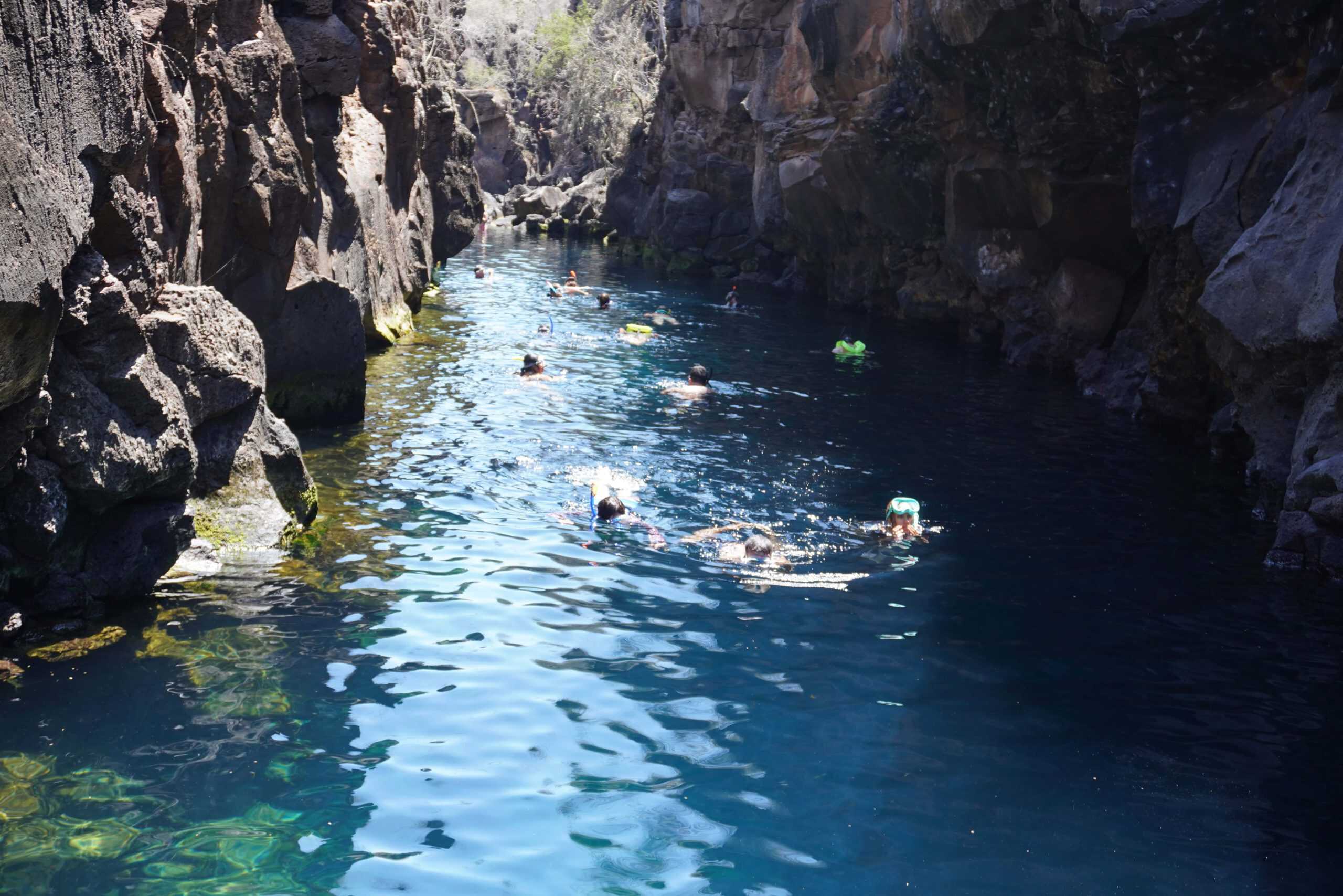 Many snorkelers swimming in the bright blue waters of Las Grietas
