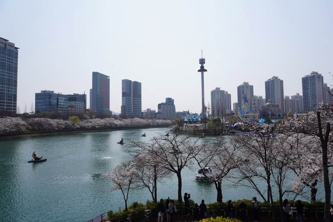 Seokchon Lake and Lotte World amusement park surrounded by cherry blossom. In the lake's water there are futuristic looking half-moon shaped boats