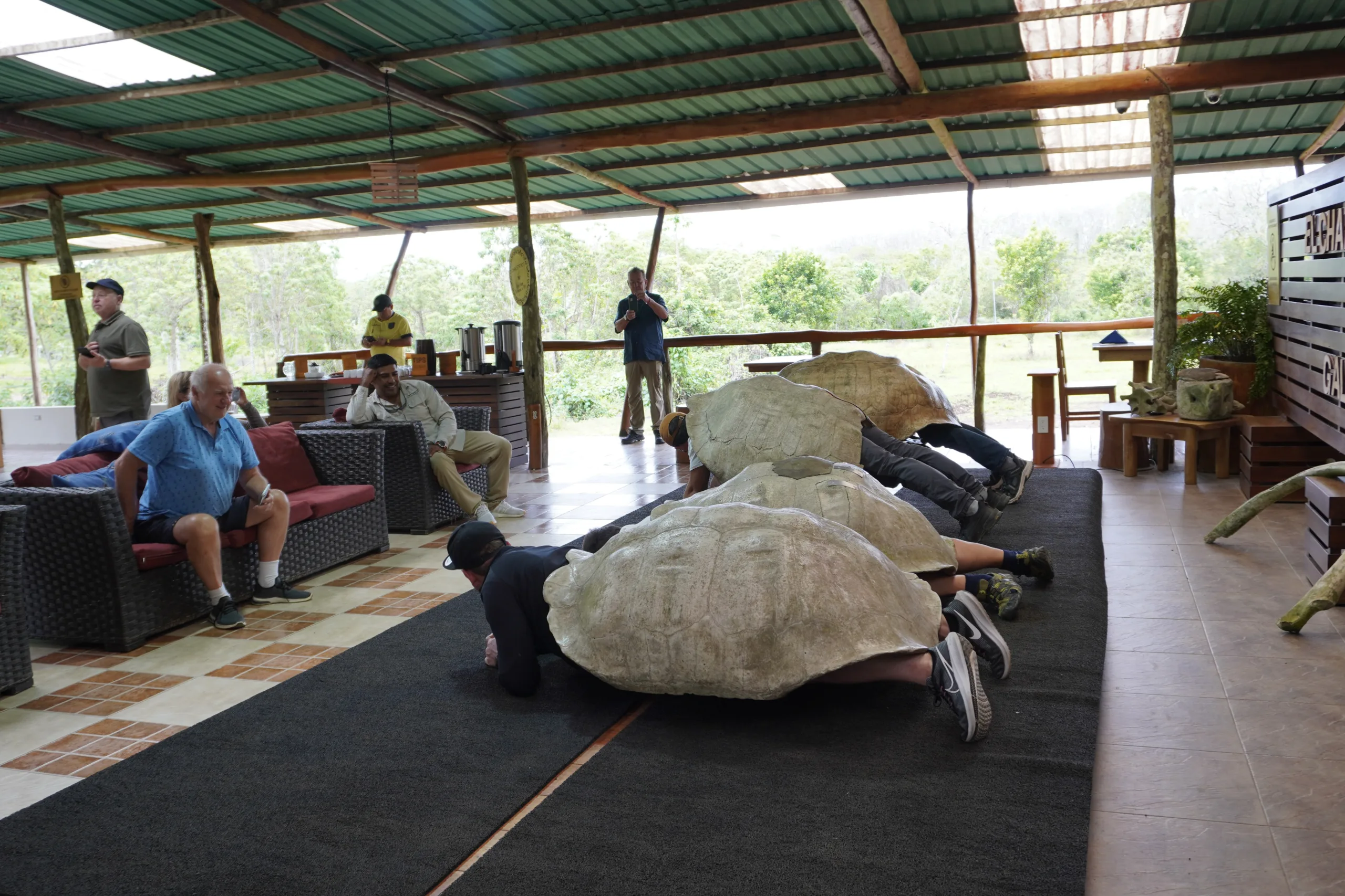 Tourists taking pictures inside the shells of four different giant tortoises