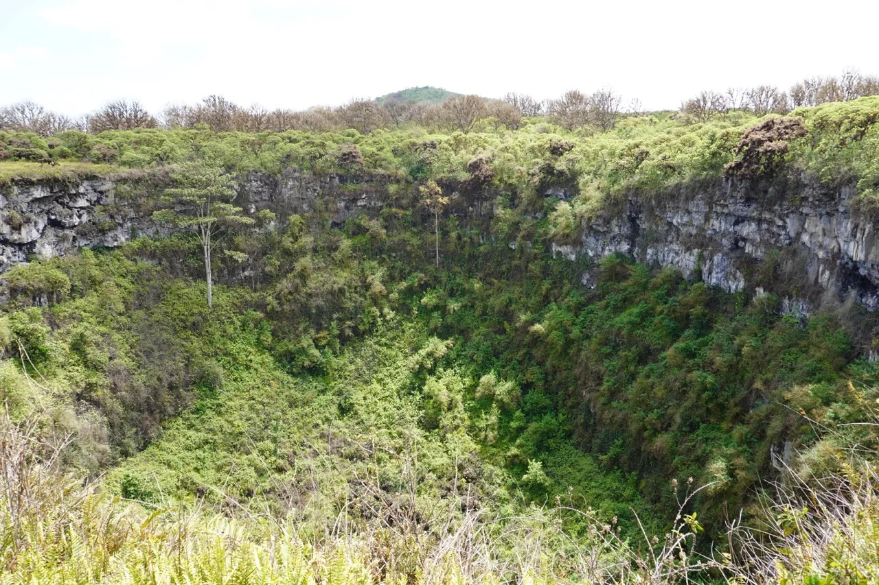 View of the inside of the Los Gemelos crater, which is filled by lush green