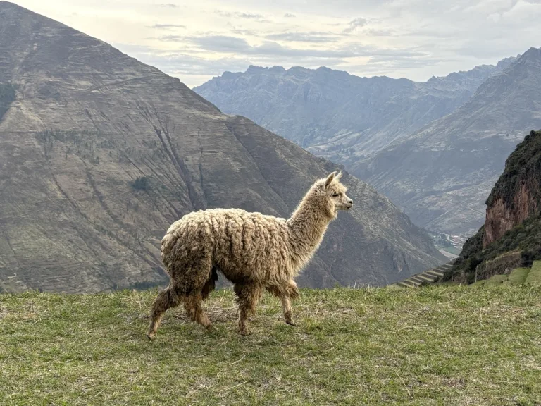 13 Best Destinations in South America to Inspire You!