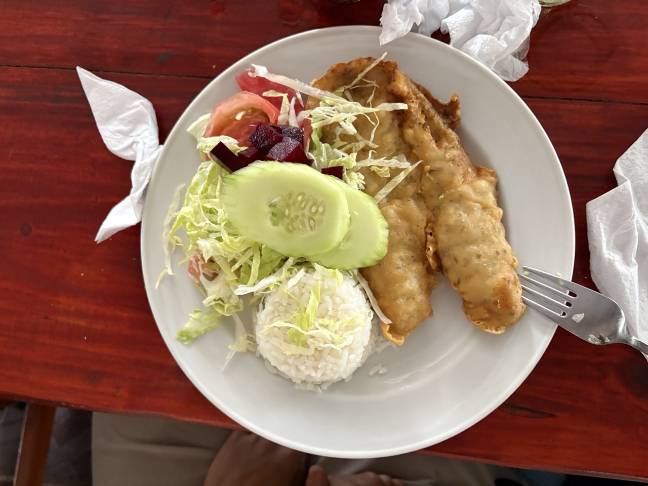 Picture of a dish served in the "Los Troncos" restaurant in Los Choros. It has white rice, salad, and a fried meat.