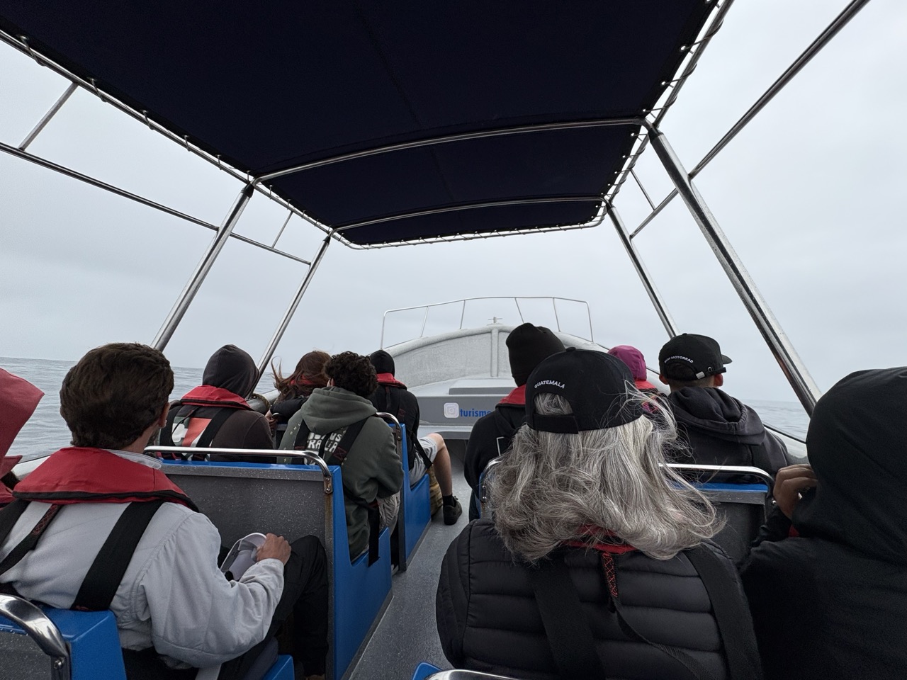 12 tourists sittingi n a small open motorboat during the Chanaral Island whale watching tour