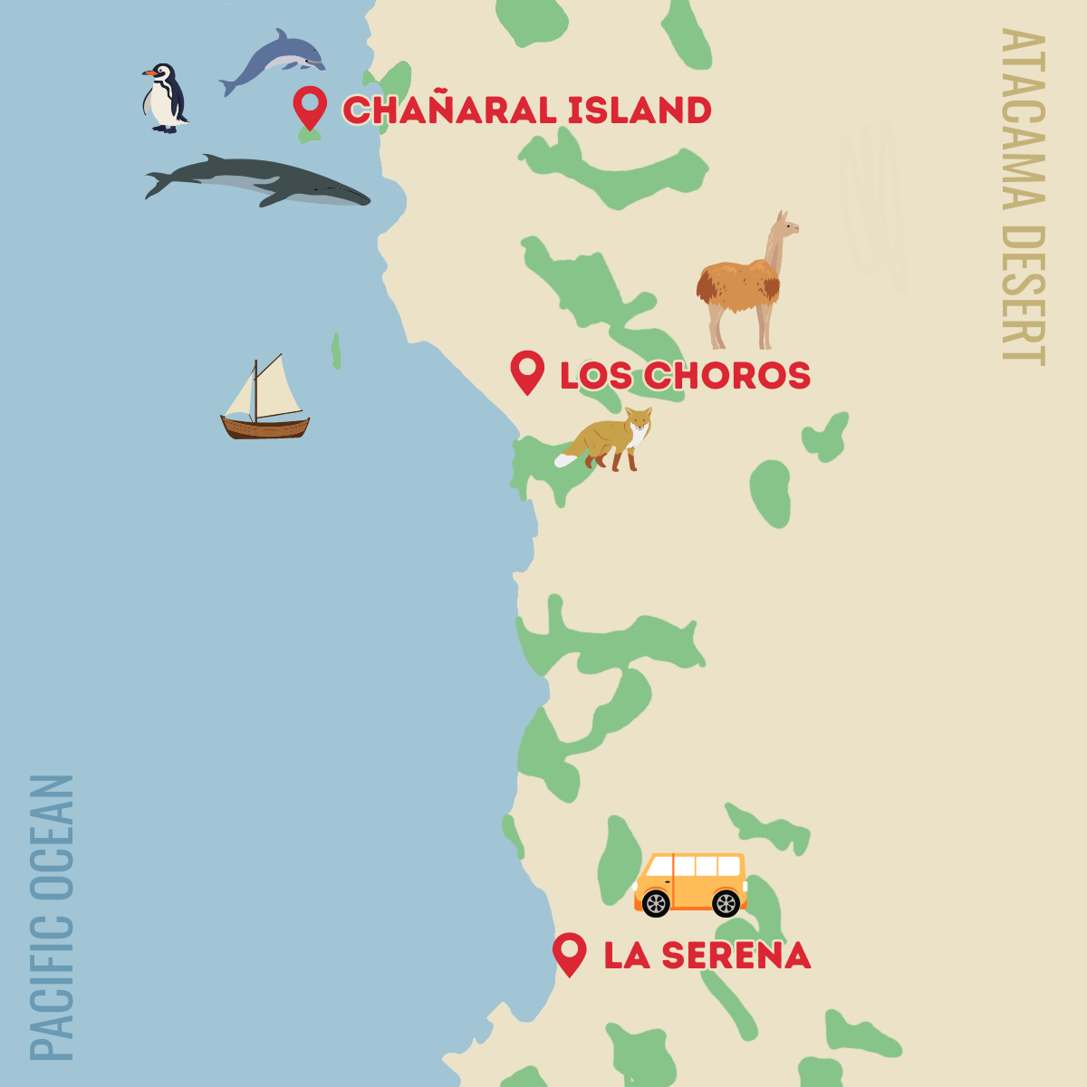 Cartoon-style map of all the stops of the Whale Watching tour from La Serena. In the bottom there is a pin saying "La Serena" and a van icon. Further north there is a pin saying "Los Choros" and guanaco and fox icons. Further north and slightly off the coast there is a pin saying "Chanaral Island" and icons of penguins, whales, and dolphins